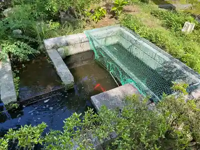 眞照寺(東京都)