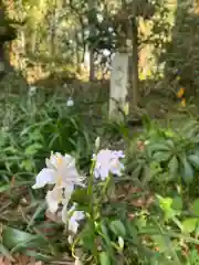 青海神社(福井県)