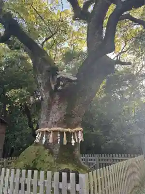 熱田神宮(愛知県)