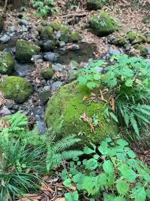 戸隠神社奥社(長野県)