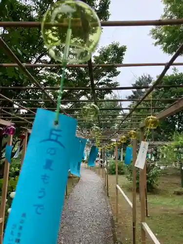 美瑛神社の体験その他