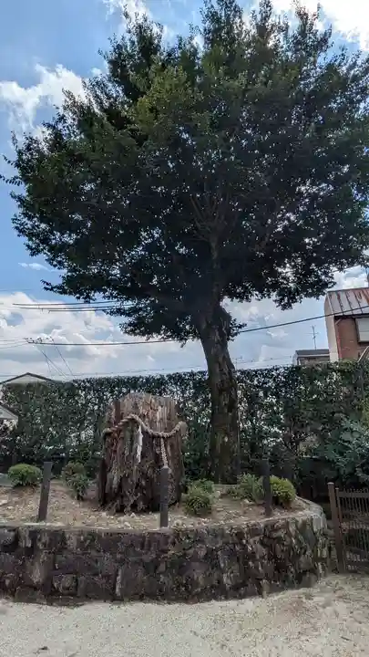 久我神社(賀茂別雷神社摂社)(京都府)