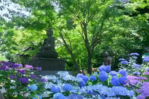 長谷寺の庭園