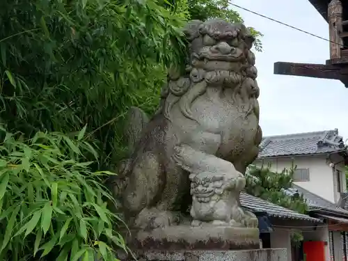 穴切大神社の狛犬