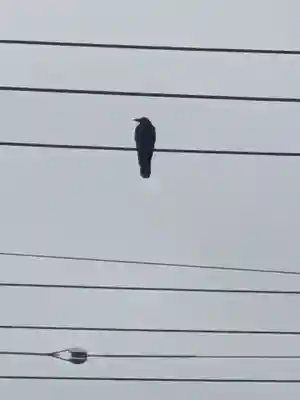 五方山熊野神社(東京都)