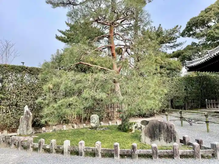 平等院(京都府)