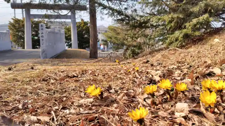 早来神社の{uncategorized: "未分類", other: "その他", undefined: "問題あり", building: "その他建物", grave: "お墓", sacred_gate: "鳥居", guardian: "狛犬", statue: "像", buddha: "仏像", history: "歴史", nature: "自然", garden: "庭園", animal: "動物", pagoda: "塔", temizu: "手水舎", mountain_gate: "山門・神門", sanctuary: "本殿・本堂", subordinate: "末社・摂社", art: "芸術", scenery: "景色", jizo: "地蔵", ema: "絵馬", goshuin: "御朱印", omikuji: "おみくじ", items: "授与品その他", amulet: "お守り", goshuincho: "御朱印帳", eats: "食事", festival: "お祭り", votive_dance: "神楽", shichigosan: "七五三参", wedding: "結婚式", experience: "体験その他", initially: "初詣", around: "周辺", anti_infection: "感染症対策"}