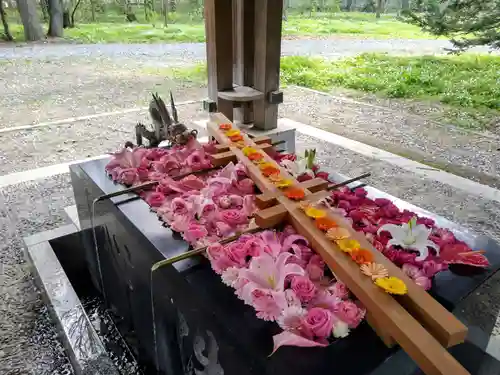 帯廣神社の手水