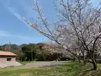 諏訪神社の自然