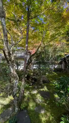 西明寺(京都府)