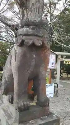 大宮神社の狛犬