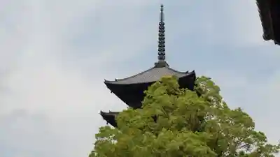 東寺（教王護国寺）(京都府)