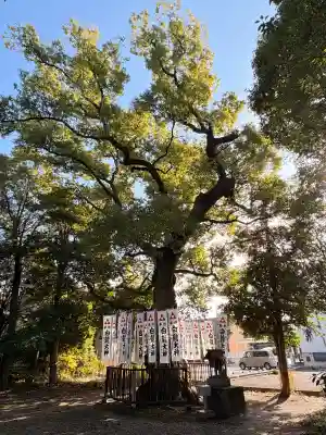 喚續社(愛知県)