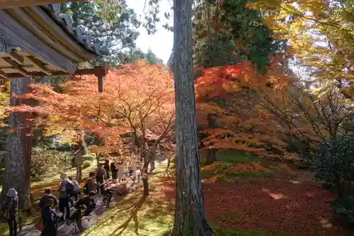 三千院門跡の景色