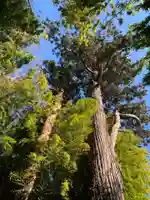 熊野神社(千葉県)