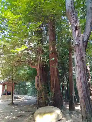 安仁神社(岡山県)