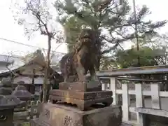 吉田神社の狛犬