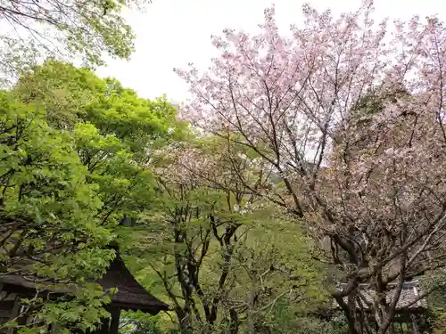 寂光院(京都府)