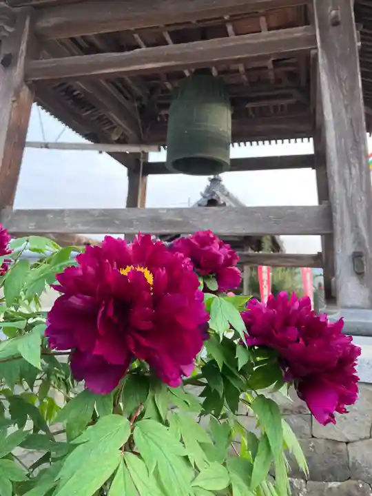 真言宗 善通寺派 薬王寺(香川県)