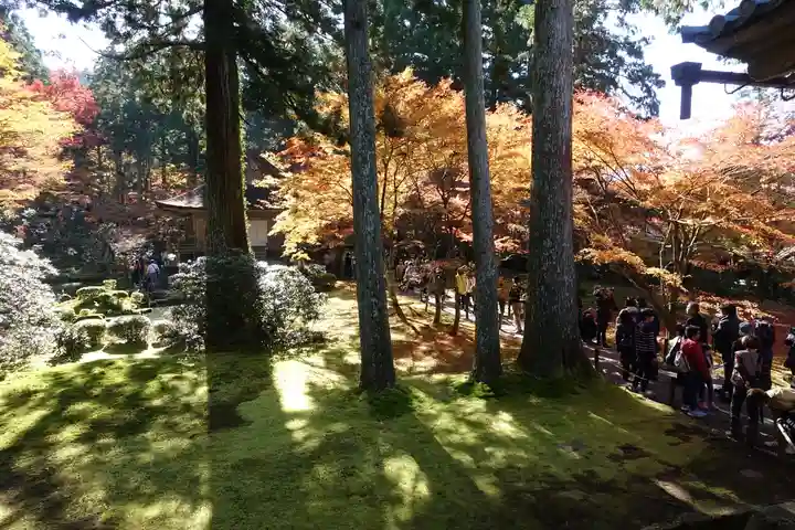 三千院門跡の庭園