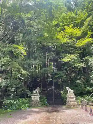 戸隠神社宝光社(長野県)