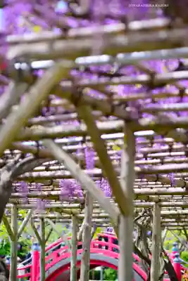 亀戸天神社(東京都)