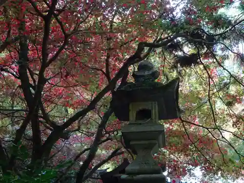 最乗寺（道了尊）のその他建物