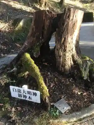 九頭龍神社本宮のその他建物