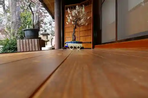 菅原天満宮（菅原神社）の自然