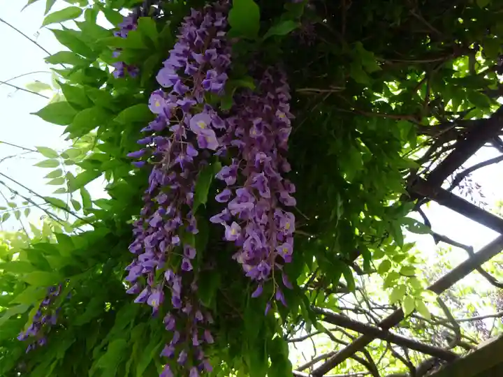 正一位霊験稲荷社の自然