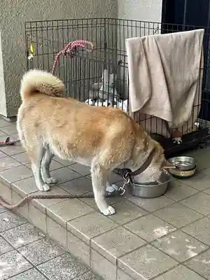 笠䅣稲荷神社(神奈川県)