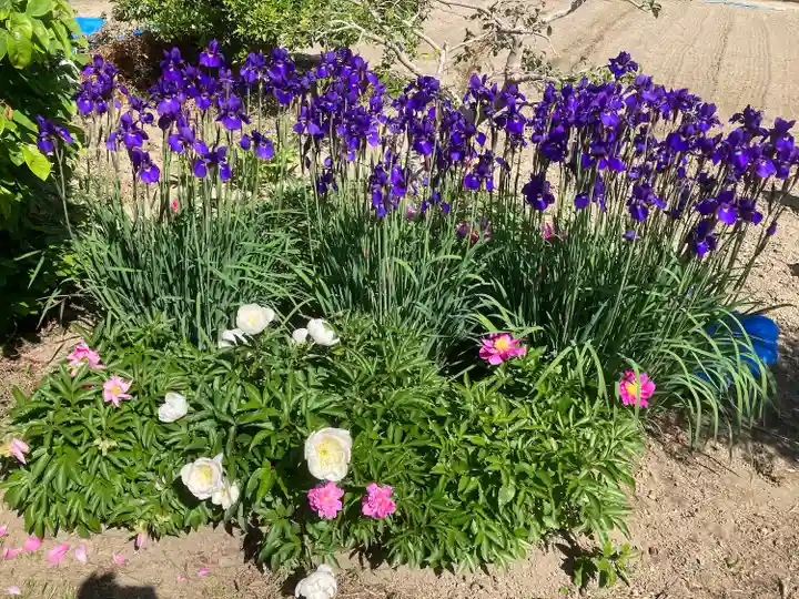 知立神社の自然