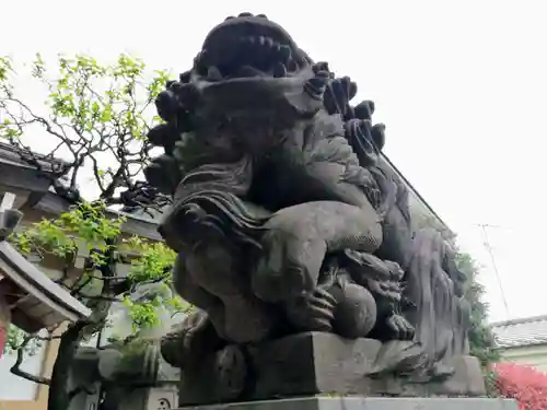 穏田神社の狛犬