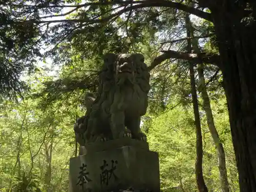 戸隠神社奥社の狛犬