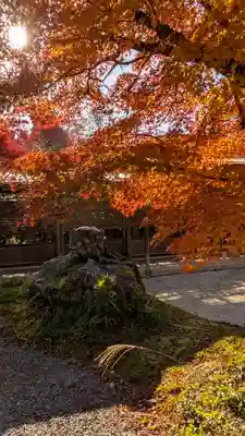 常照寺(京都府)