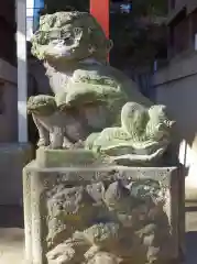 千葉神社の狛犬