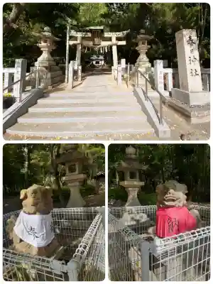 春日神社（茄子作）の{uncategorized: "未分類", other: "その他", undefined: "問題あり", building: "その他建物", grave: "お墓", sacred_gate: "鳥居", guardian: "狛犬", statue: "像", buddha: "仏像", history: "歴史", nature: "自然", garden: "庭園", animal: "動物", pagoda: "塔", temizu: "手水舎", mountain_gate: "山門・神門", sanctuary: "本殿・本堂", subordinate: "末社・摂社", art: "芸術", scenery: "景色", jizo: "地蔵", ema: "絵馬", goshuin: "御朱印", omikuji: "おみくじ", items: "授与品その他", amulet: "お守り", goshuincho: "御朱印帳", eats: "食事", festival: "お祭り", votive_dance: "神楽", shichigosan: "七五三参", wedding: "結婚式", experience: "体験その他", initially: "初詣", around: "周辺", anti_infection: "感染症対策"}