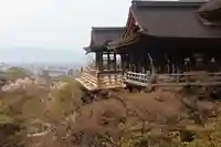 清水寺(京都府)