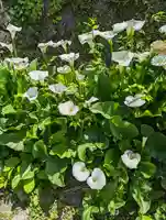 惠心院(京都府)