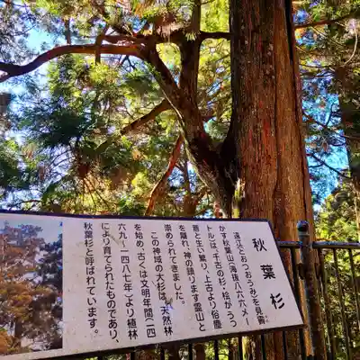 秋葉山本宮 秋葉神社 上社(静岡県)
