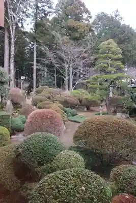 勝楽寺(愛知県)