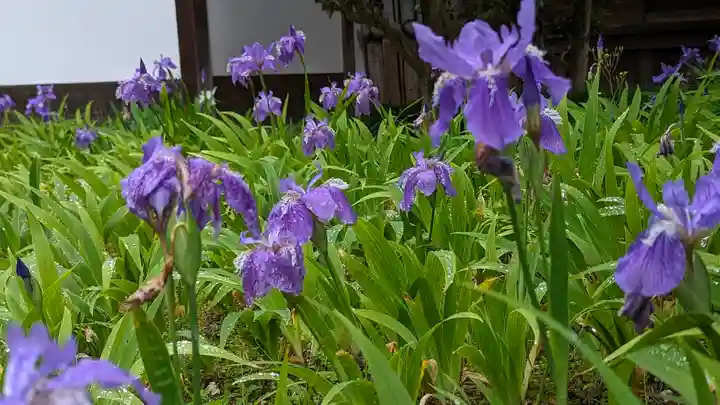 得浄明院(善光寺別院)(京都府)