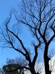 天神ノ森天満宮の自然