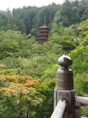 長谷寺(奈良県)