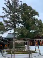 寒川神社の自然