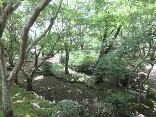 勝持寺（花の寺）(京都府)
