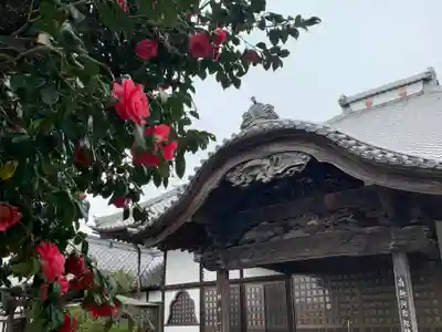 永徳寺(群馬県)