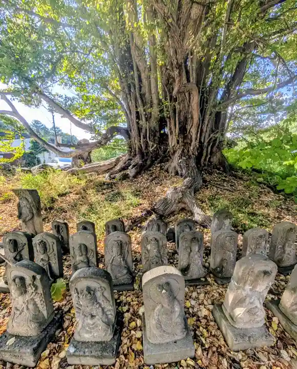 黄金龍神社(桂不動)(北海道)