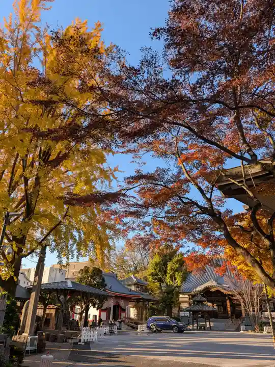 成願寺(東京都)