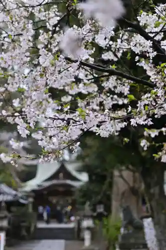 岩槻久伊豆神社(埼玉県)